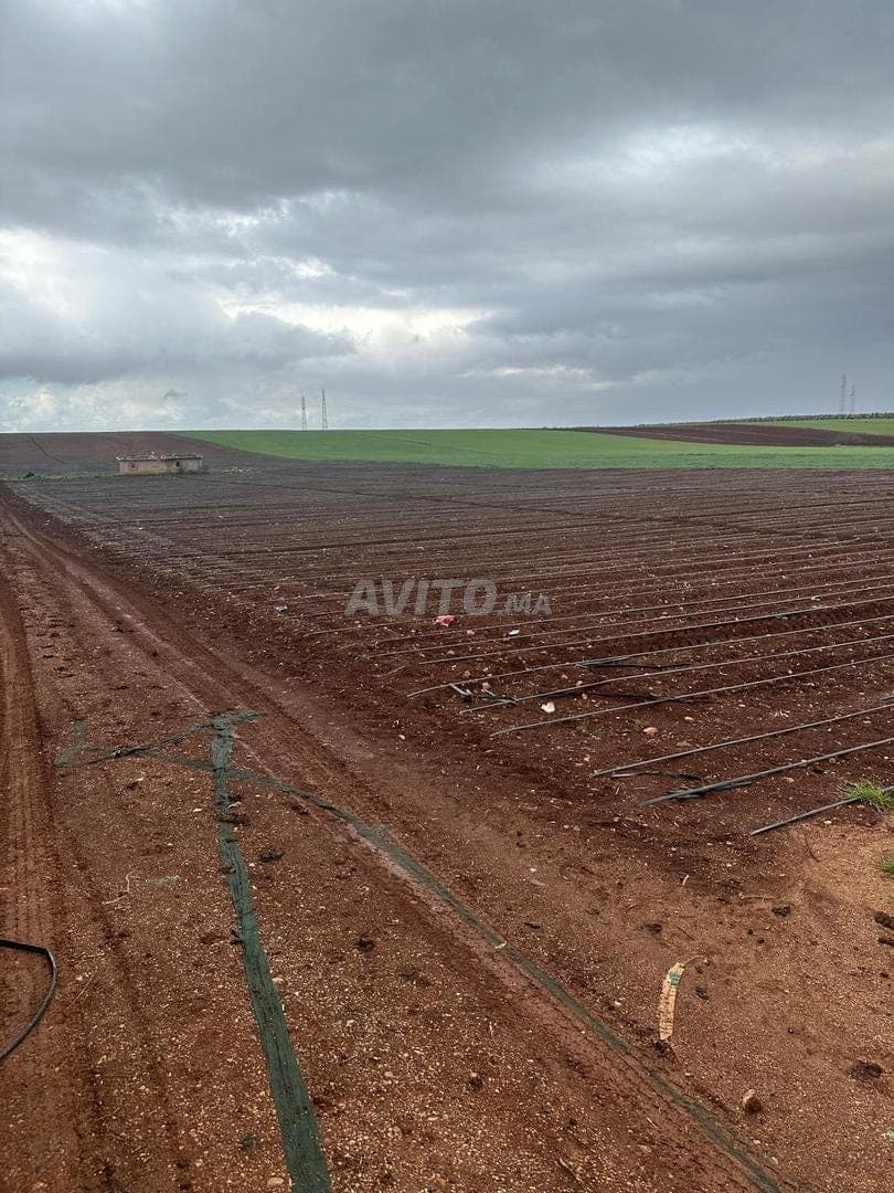 Terrain agricole titré à vendre 10 hectares