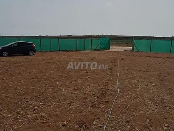 Land Sidi Ali Ben Hamdouche / Tnine Chtouka