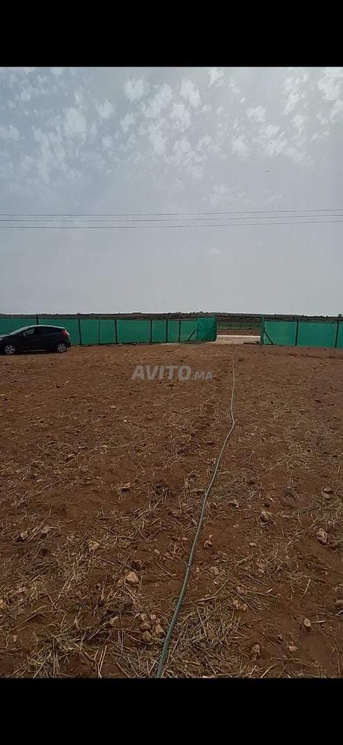 Land Sidi Ali Ben Hamdouche / Tnine Chtouka