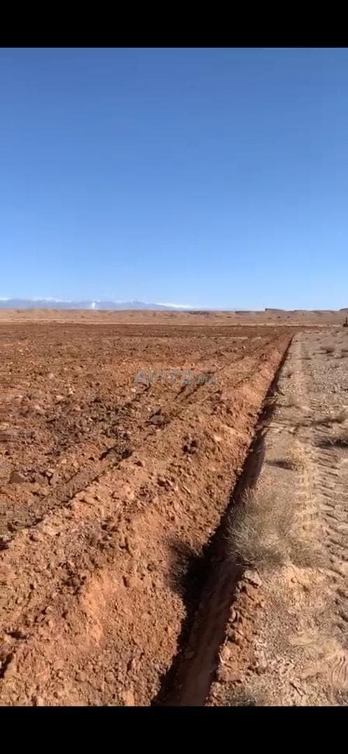 Terrain agricole أرض فلاحية - L'eau est proche