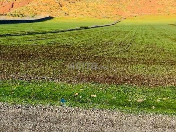 Anderhalve hectare beschermd op een uitstekende weg