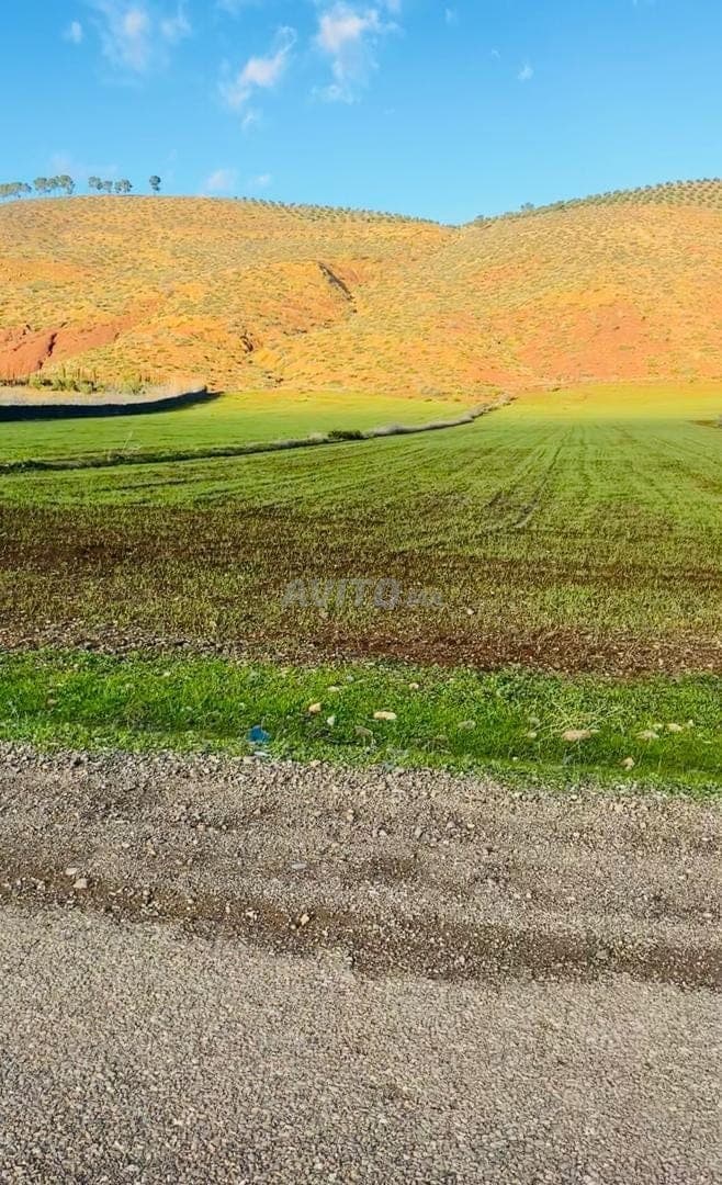 Anderhalve hectare beschermd op een uitstekende weg