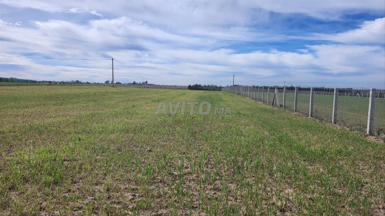 1 ha agricole titrée sur la route à Benslimane