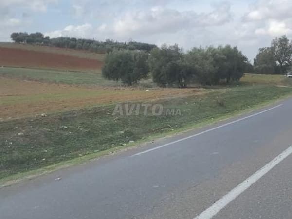 Terreno recintato con tre khadama sulla strada nazionale