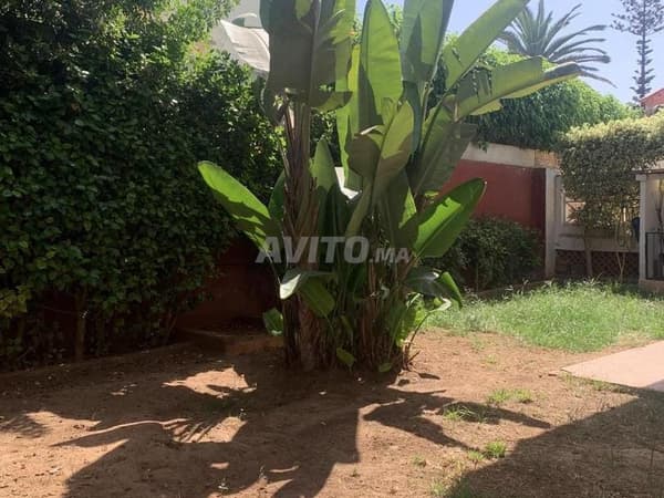 Location d’une villa avec piscine