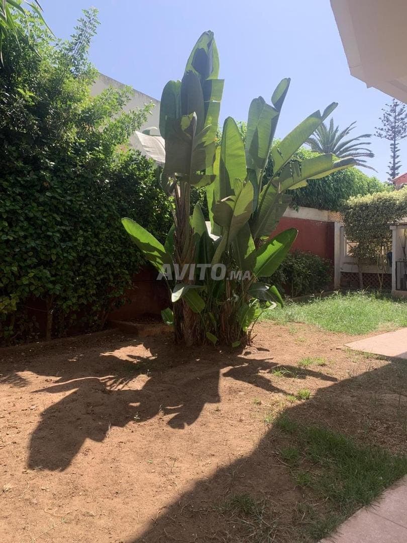 Location d’une villa avec piscine