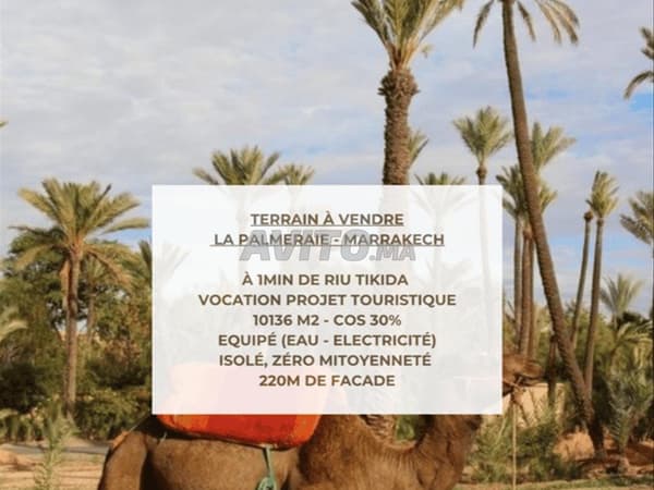 167213-Vente Terrain à Marrakech Palmeraie de 1013