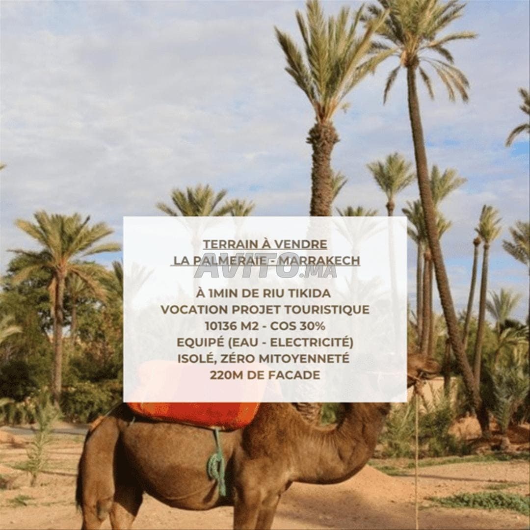 167213-Venta Terreno en Marrakech Palmeraie de 1013