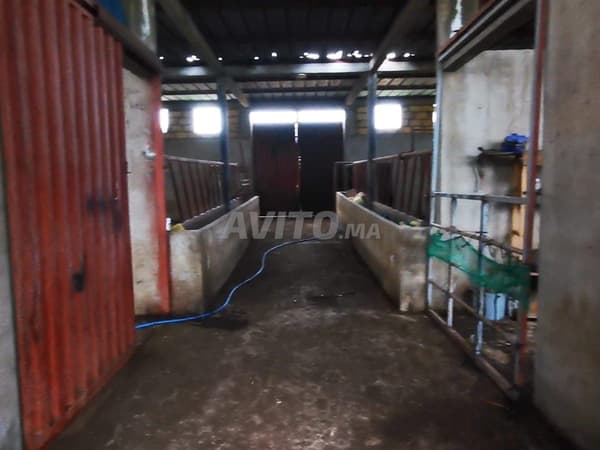 Finca en venta en los alrededores de Bir Jdid, con acceso por carretera asfaltada