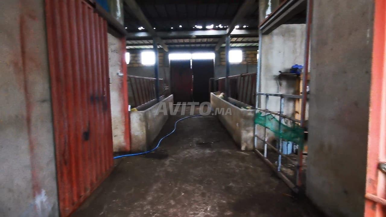 Finca en venta en los alrededores de Bir Jdid, con acceso por carretera asfaltada