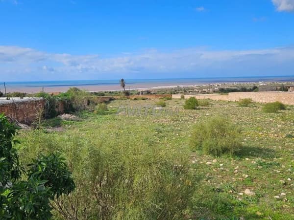 Terreno titolato di oltre 5.000 m². Vista oceano