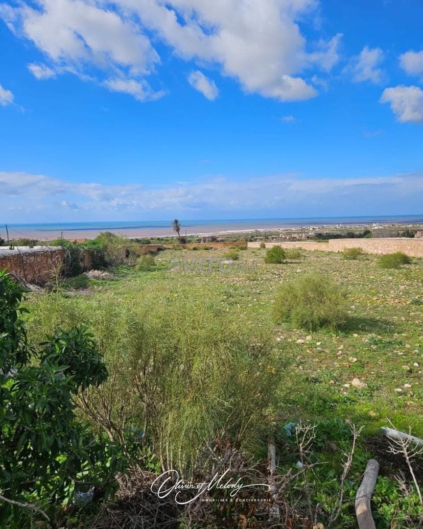 Terreno titolato di oltre 5.000 m². Vista oceano