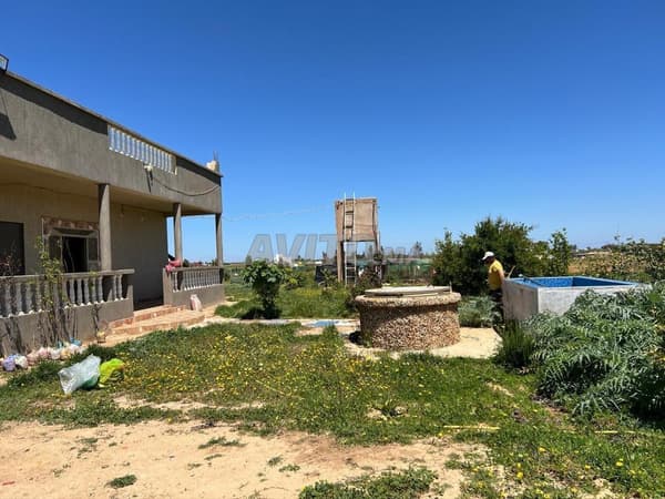Agricultural land and registered dwelling for sale