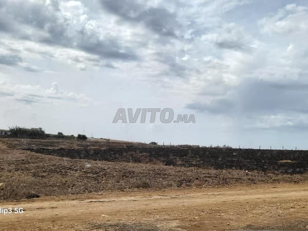 Terrain titré 6500 m2 Benslimane