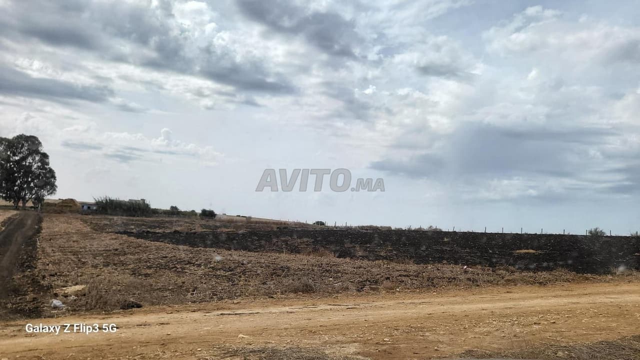 Terrain titré 6500 m2 Benslimane