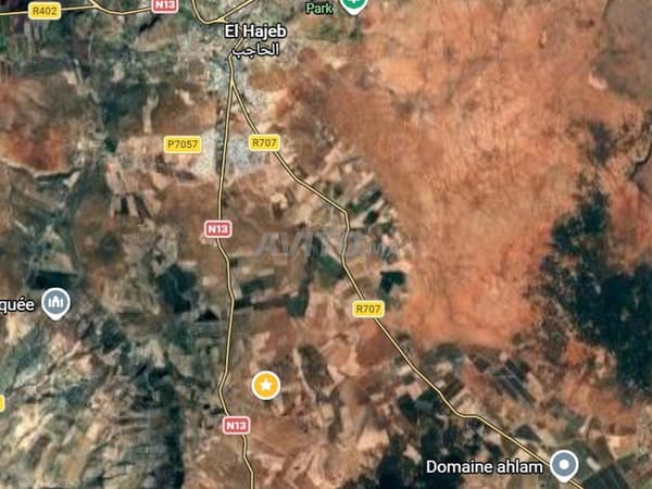 Terrain à vendre 3Ha Titrée à 5 minutes d'El Hajeb
