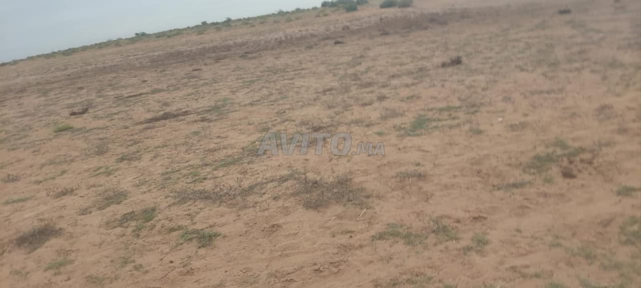 Terreno in vendita provincia di Sidi Bennour Bouhamam