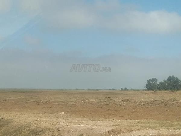 Terreno di 7 ettari con titolo fondiario in vendita