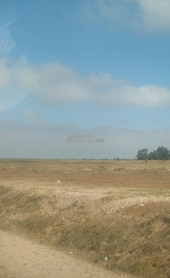 Terreno di 7 ettari con titolo fondiario in vendita