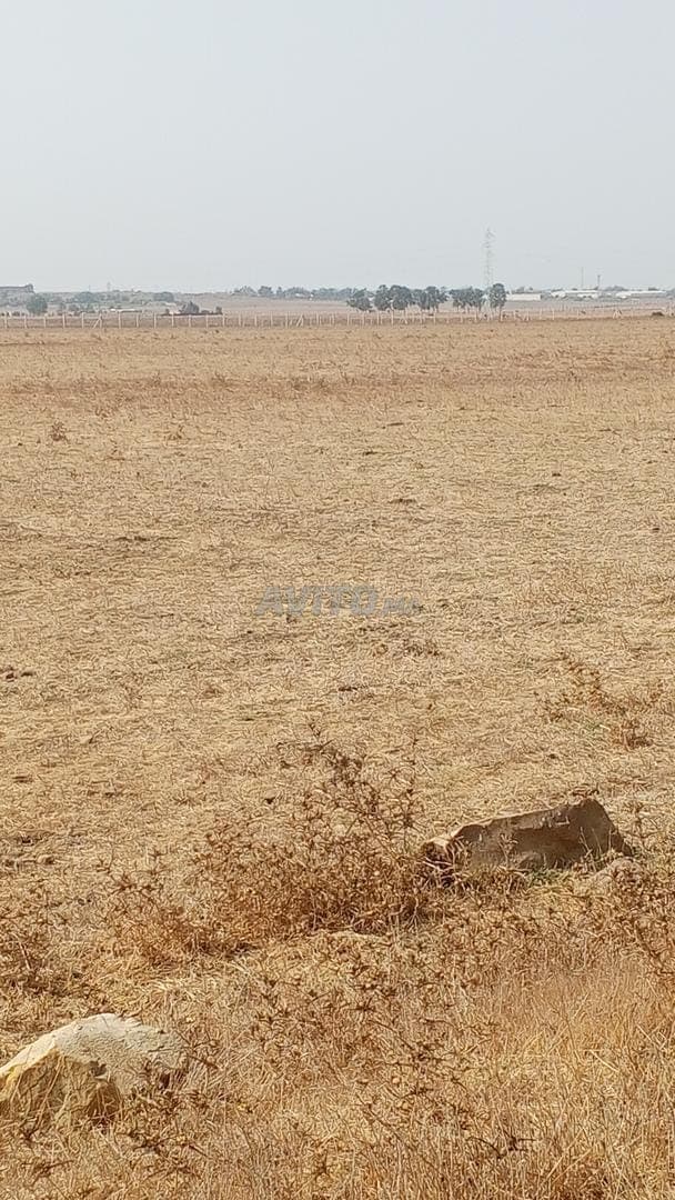 Commune de Oulad Sghir, Settat