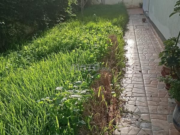 villa vide 320M Sur 1niveux Centre ville