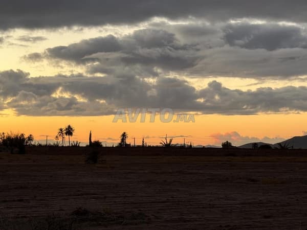 Terrain 2 Hectares Titré – Route de Fès Km 27
