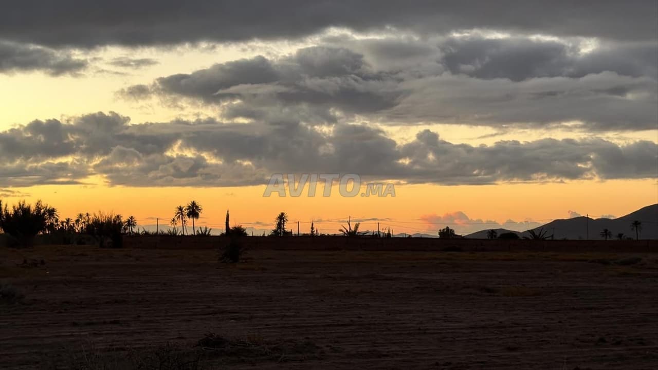 Terrain 2 Hectares Titré – Route de Fès Km 27