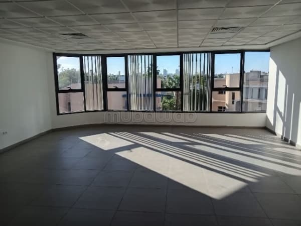 Plateau de bureau à oasis