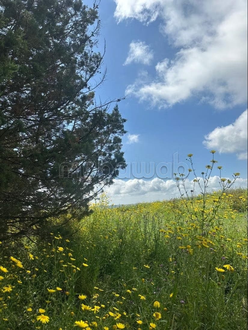 Exceptional Land for Sale in El Menzeh