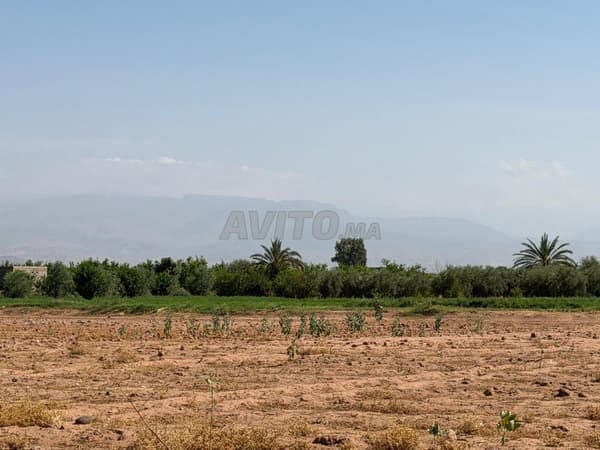 Terrain 18 000 m² – Vue Atlas à 20 km de Marrakech