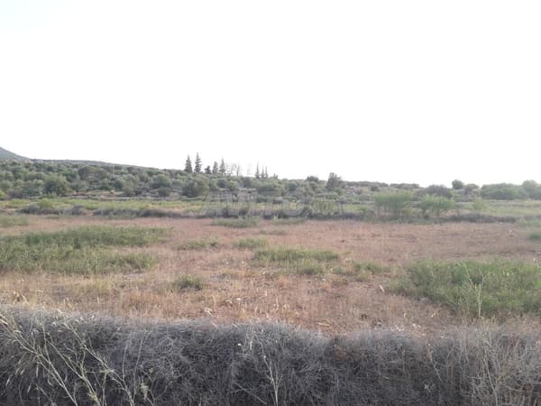 4-hectare agricultural land for sale
