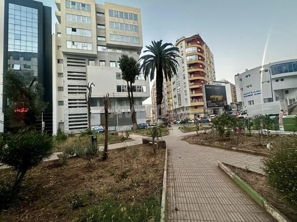 Plateau bureau neuf à louer hamria 1er étage