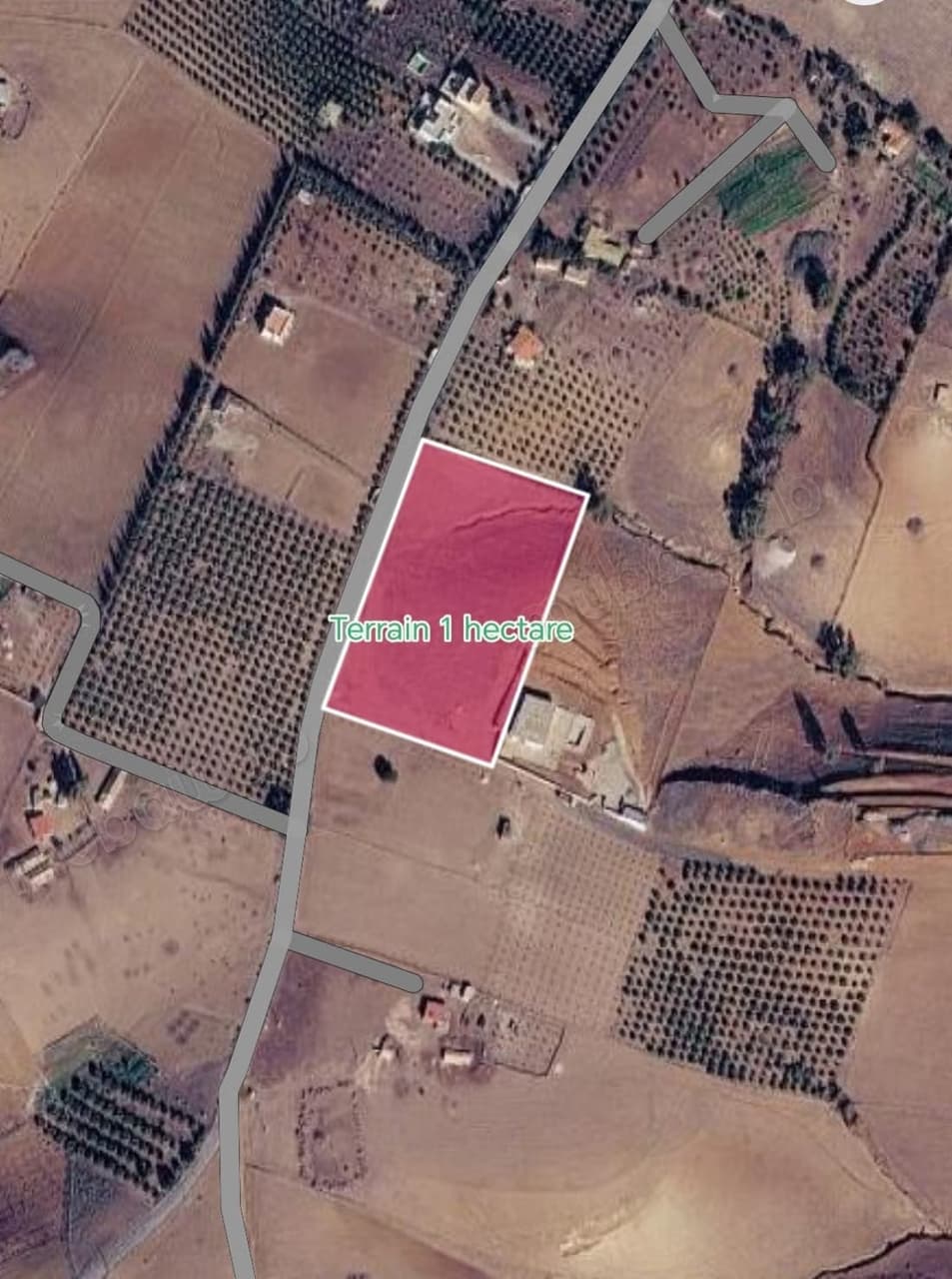 Vente de terrain à Sidi Allal El Bahraoui. Surface totale 100000 m²