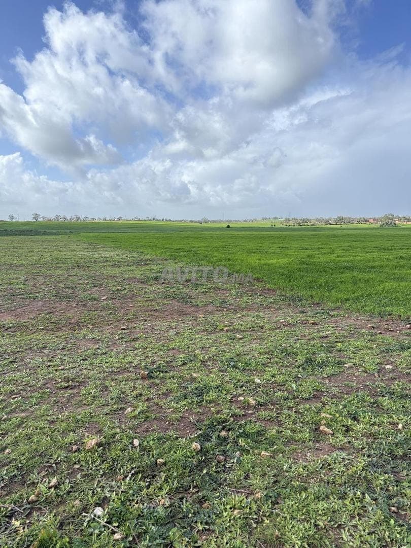 Hectare Sidi Rahal