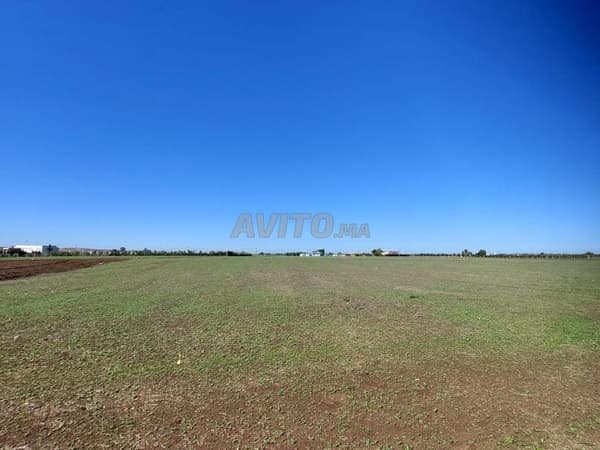 Terrain enregistré à vendre à Benslimane – Ain Tizgha, pour habitation ou investissement