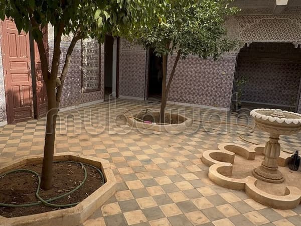 An Old Riad in Ruins in the Heart of La Palmeraie