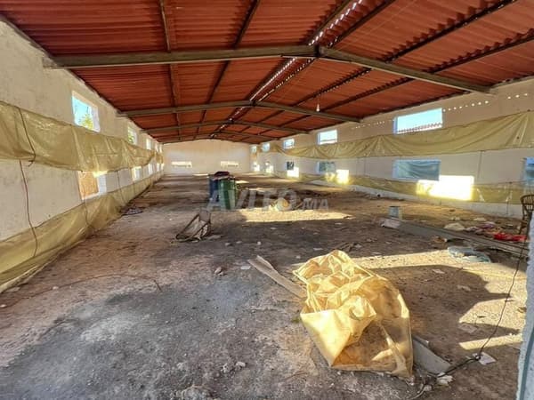 Warehouse for rent in Tamensna 600 m² with 380 electricity