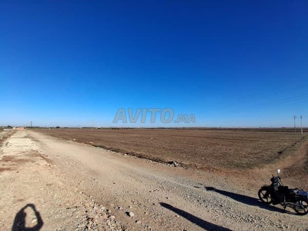 Terrain agricole titré à vendre