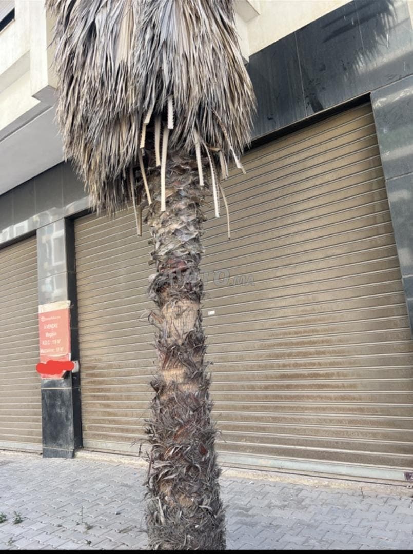 Commercial premises for rent