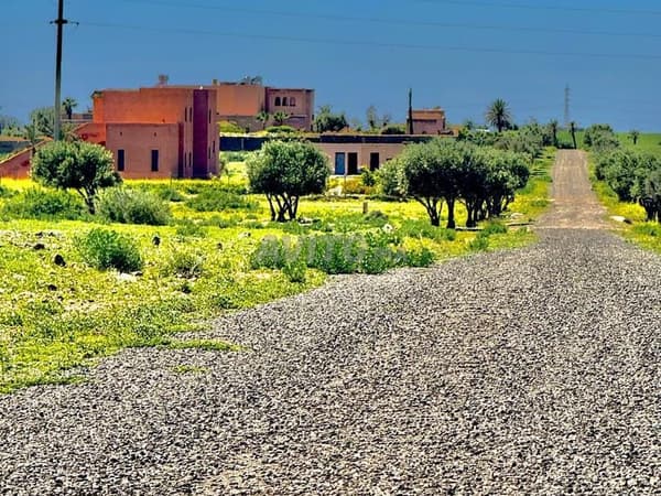Terrain de 1 hectare titré pour villa