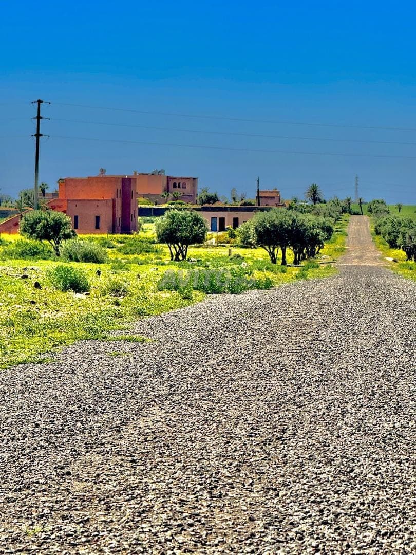 Land plot of 1 hectare titled for villa