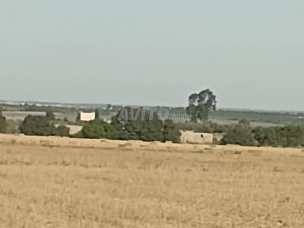 Titled hectare near the residence, suitable for building a villa