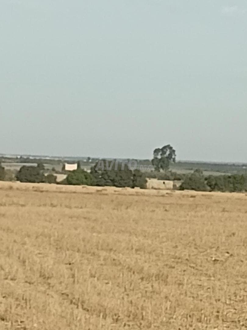 Titled hectare near the residence, suitable for building a villa