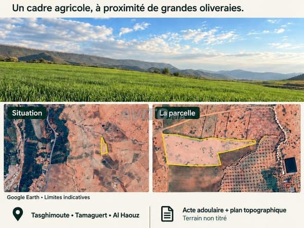 Agricultural land 10,320 m² – Mountain view