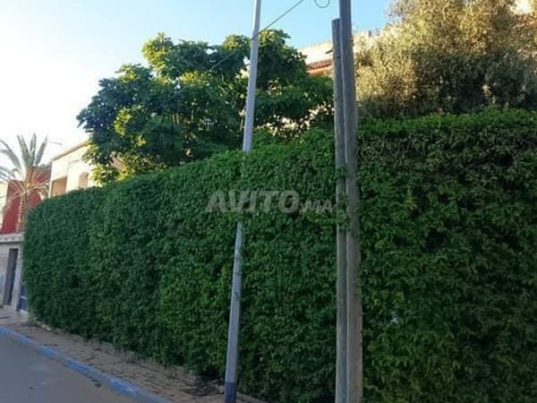 Maison (villa) à vendre Louizia lotissement R