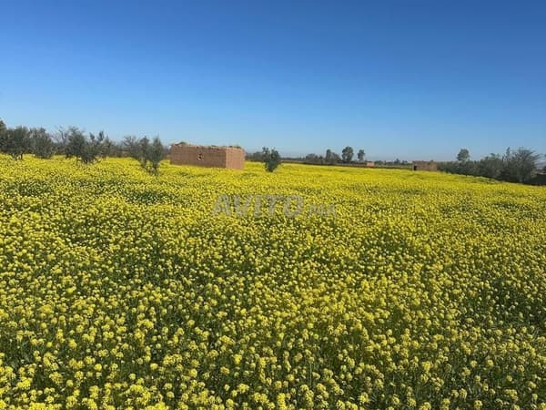 Hermosa finca en venta
