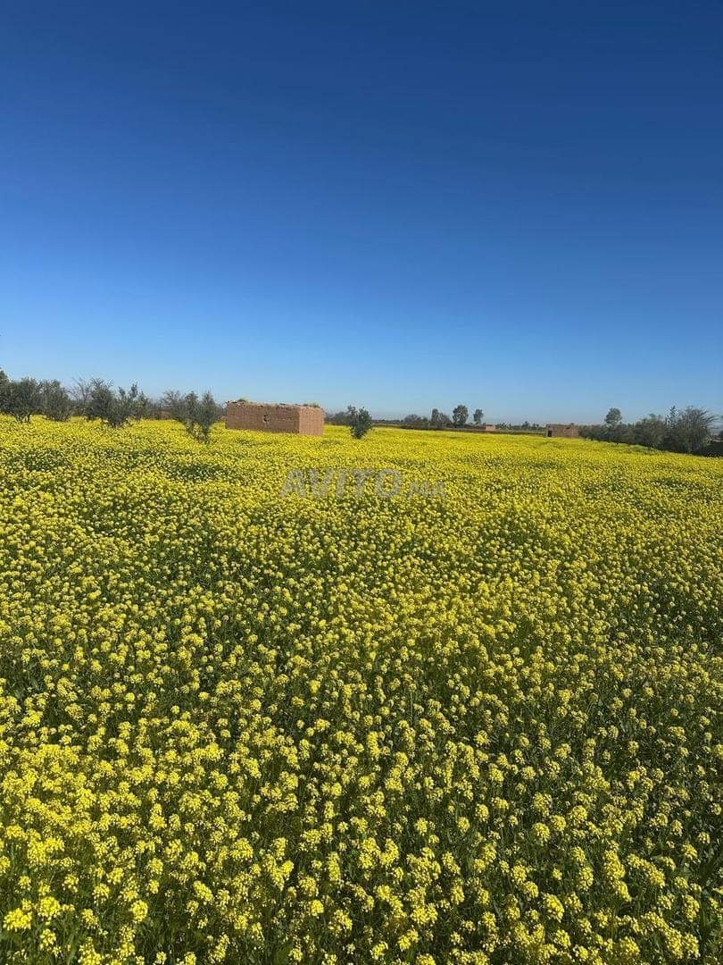 Hermosa finca en venta