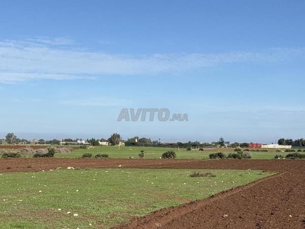 Titled one-hectare plot, exceptional location
