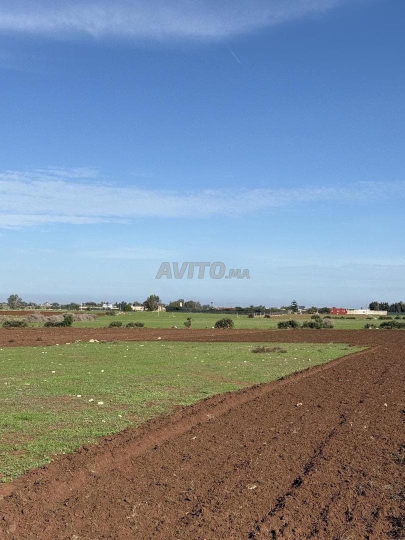 Hectare met titel, uitzonderlijke ligging