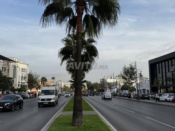 1000m² sur la rue de Tétouan et double accès